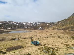 2026-05-30 10:00