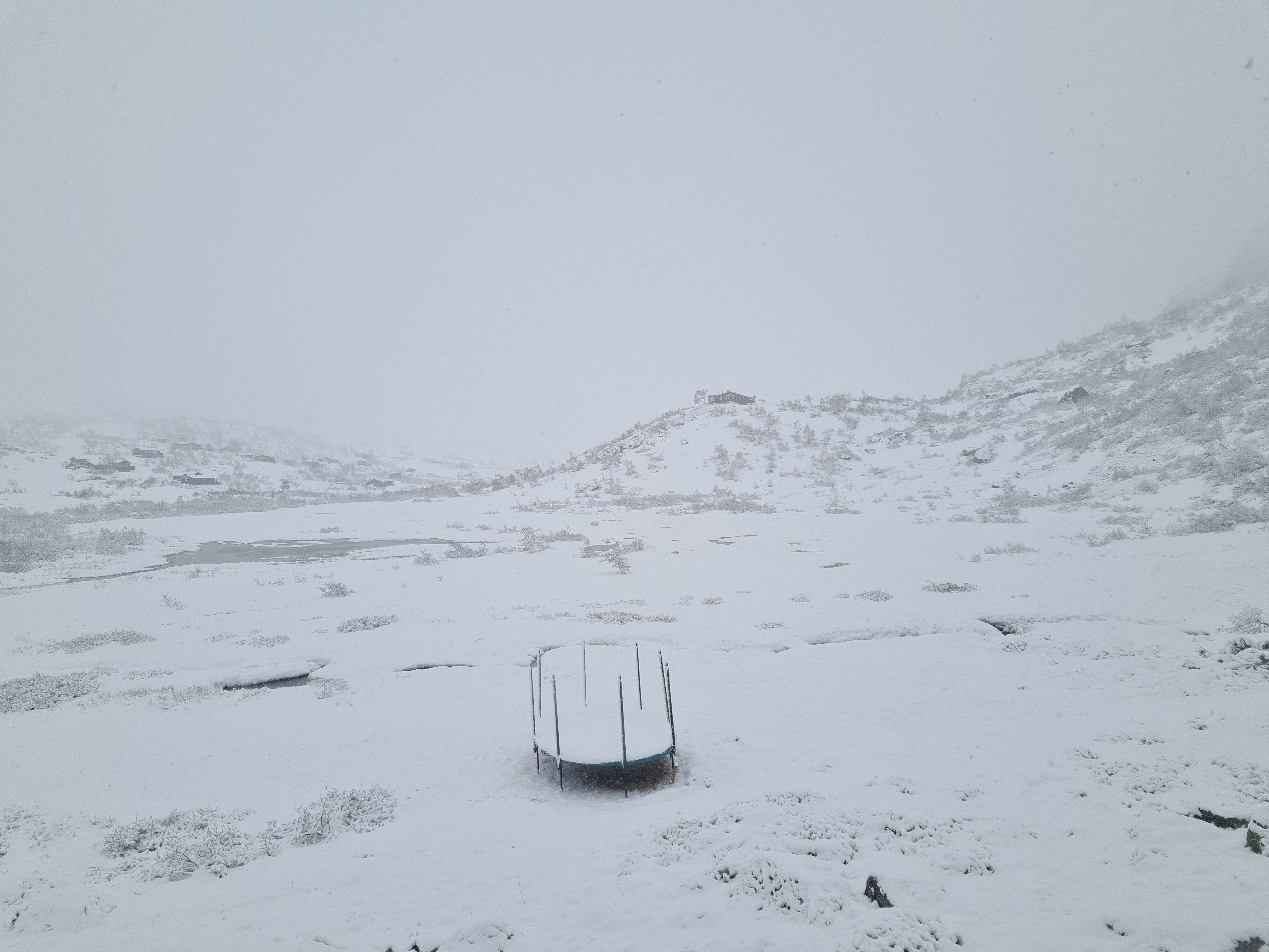 Latest capture
