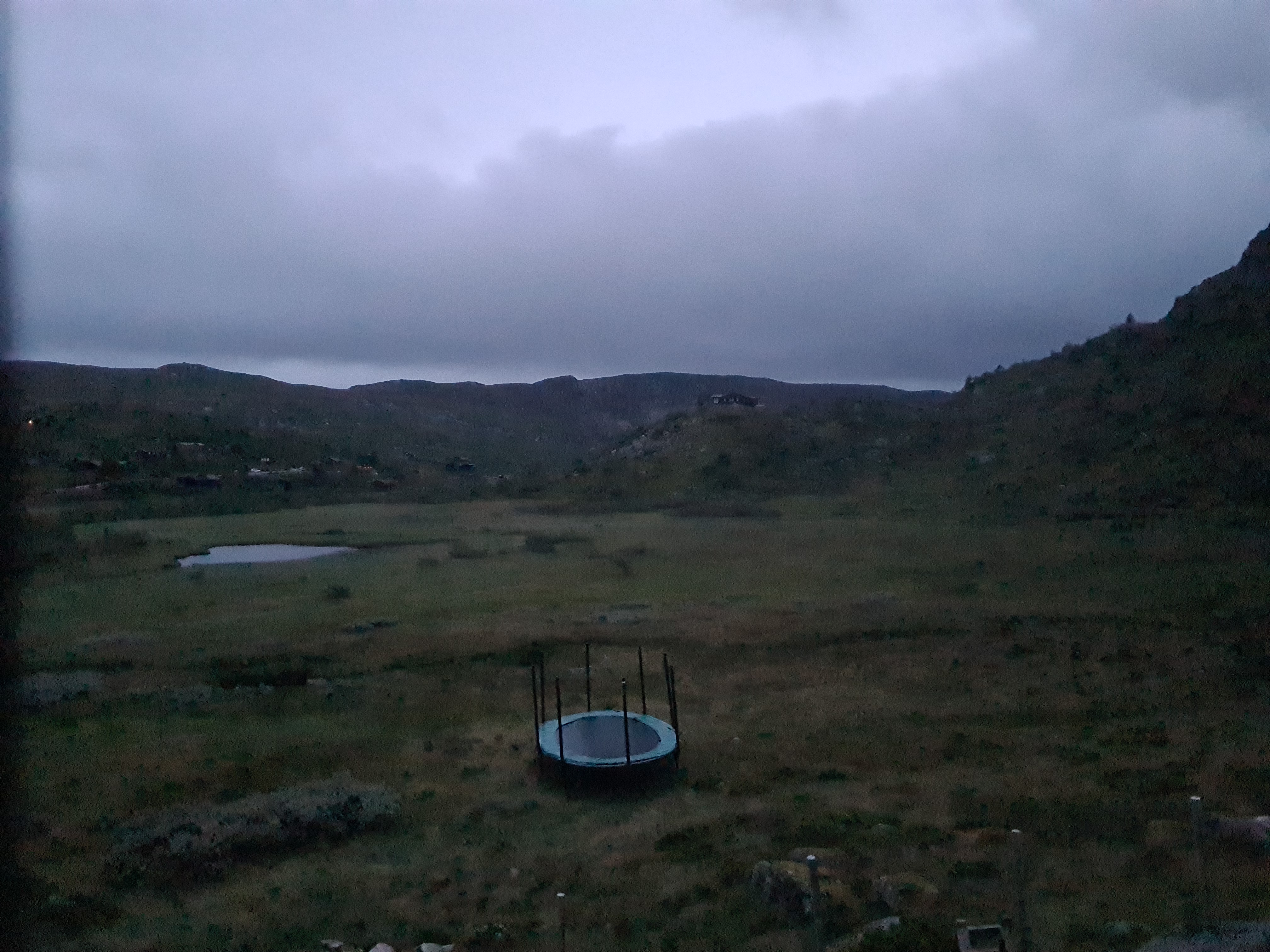 Latest capture
