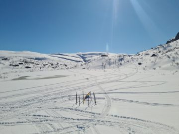 14:00.jpg