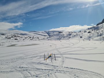 15:00.jpg