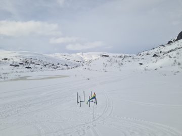 08:00.jpg