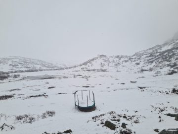 16:00.jpg
