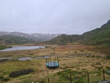 08:00.jpg