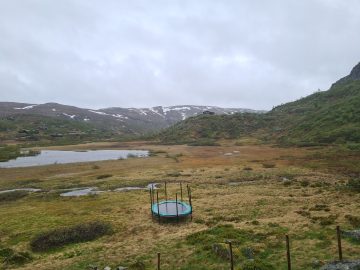 15:00.jpg