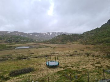 08:00.jpg