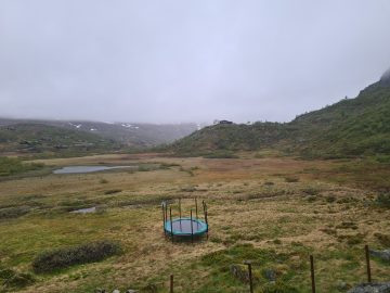 14:00.jpg