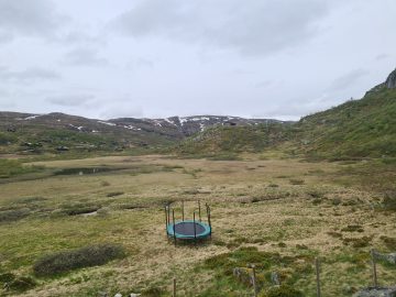 08:00.jpg