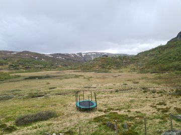 13:00.jpg