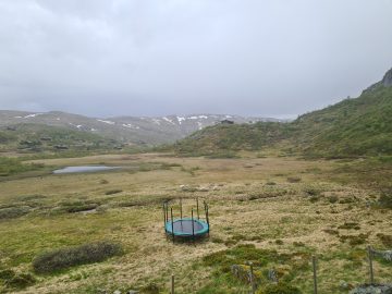14:00.jpg
