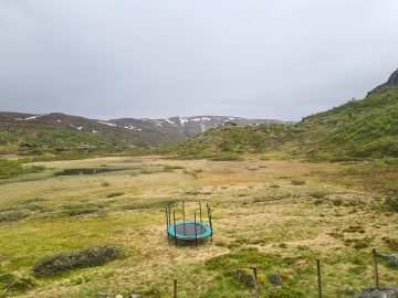 16:00.jpg
