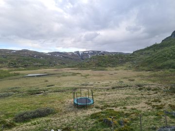 17:00.jpg