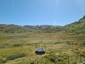 14:00.jpg