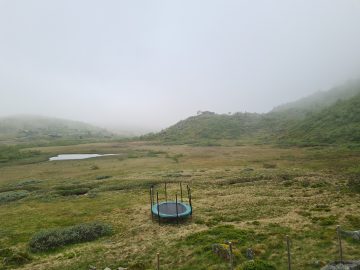 08:00.jpg