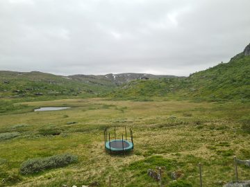 08:00.jpg