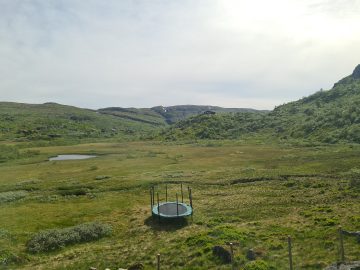 15:00.jpg