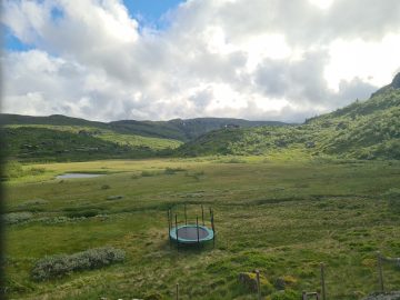 16:00.jpg