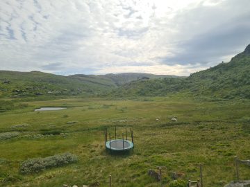 15:00.jpg