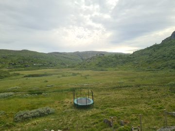 16:00.jpg