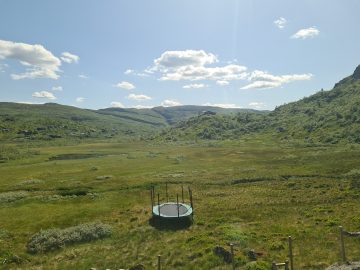 14:00.jpg