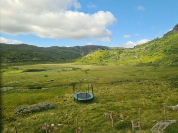 08:00.jpg