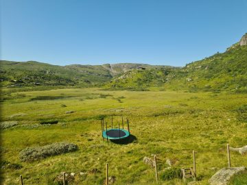08:00.jpg