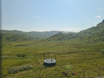 14:00.jpg