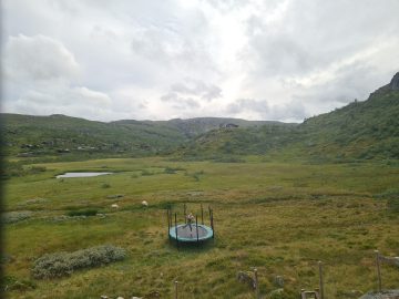 15:00.jpg