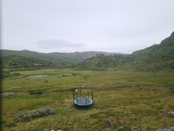 14:00.jpg