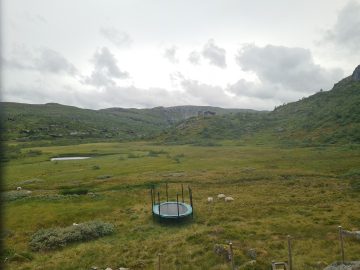 15:00.jpg
