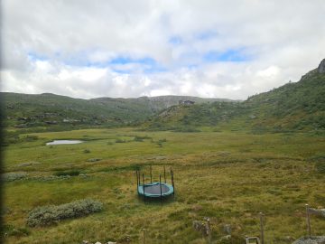 08:00.jpg