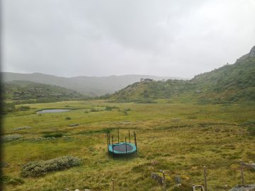 16:00.jpg