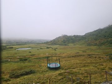 14:00.jpg