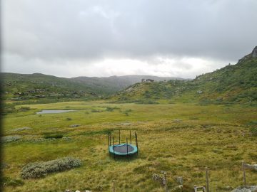 16:00.jpg