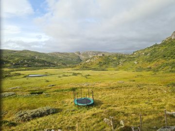 06:00.jpg