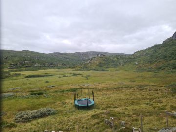 08:00.jpg