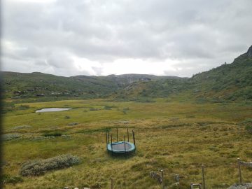 15:00.jpg
