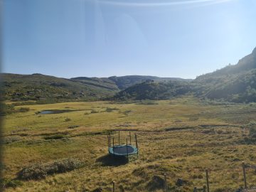 16:00.jpg