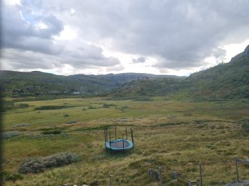 16:00.jpg