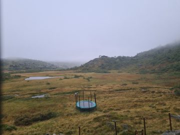 08:00.jpg