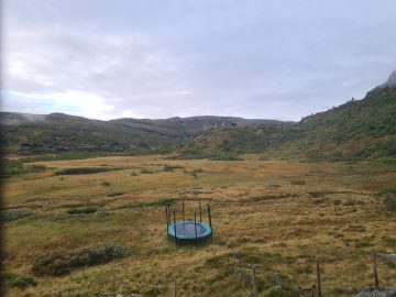 06:00.jpg