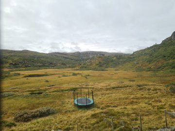 08:00.jpg