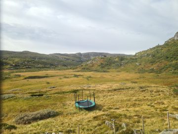 08:00.jpg