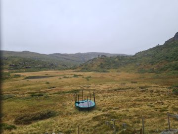 14:00.jpg