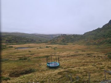 15:00.jpg