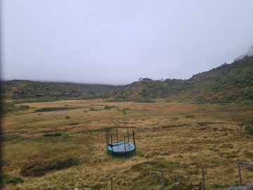 16:00.jpg