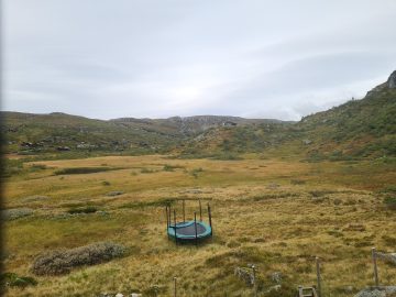 08:00.jpg