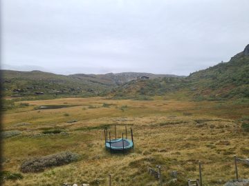 15:00.jpg