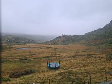 08:00.jpg