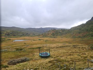 13:00.jpg